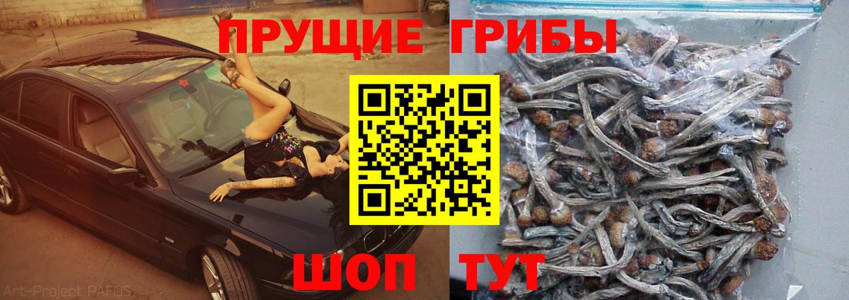 Галлюциногенные грибы прущие грибы  Вход с VPN  Псилоцибиновые грибы Psilocybe  Усолье-Сибирское 